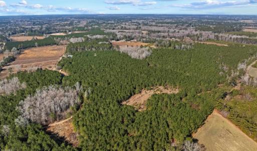 Photo #5 of TBD 183 Acres Blakely Rd., Salters, SC 183.0 acres