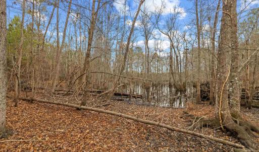 Photo #7 of TBD 183 Acres Blakely Rd., Salters, SC 183.0 acres