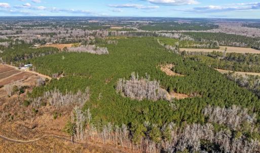 Photo #34 of TBD 183 Acres Blakely Rd., Salters, SC 183.0 acres
