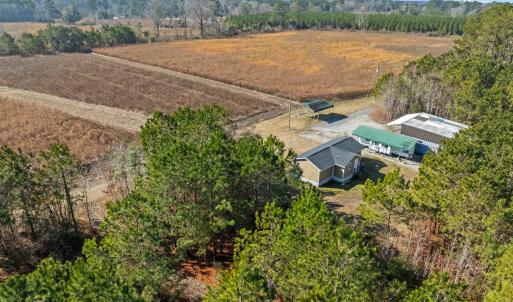 Photo #24 of TBD 183 Acres Blakely Rd., Salters, SC 183.0 acres