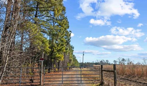 Photo #15 of TBD 183 Acres Blakely Rd., Salters, SC 183.0 acres