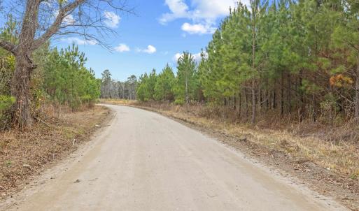 Photo #40 of TBD 183 Acres Blakely Rd., Salters, SC 183.0 acres