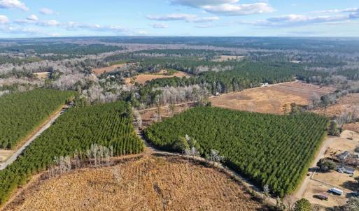 Photo #28 of TBD 183 Acres Blakely Rd., Salters, SC 183.0 acres