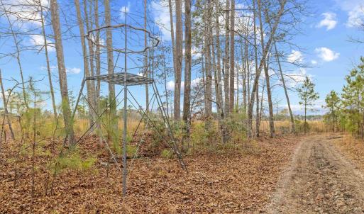 Photo #8 of TBD 183 Acres Blakely Rd., Salters, SC 183.0 acres