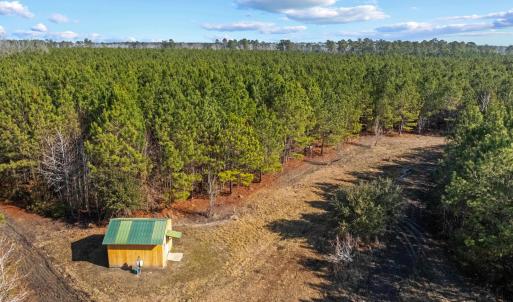 Photo #32 of TBD 183 Acres Blakely Rd., Salters, SC 183.0 acres