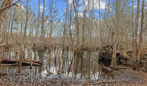 Photo #6 of TBD 183 Acres Blakely Rd., Salters, SC 183.0 acres