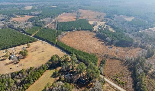 Photo #26 of TBD 183 Acres Blakely Rd., Salters, SC 183.0 acres