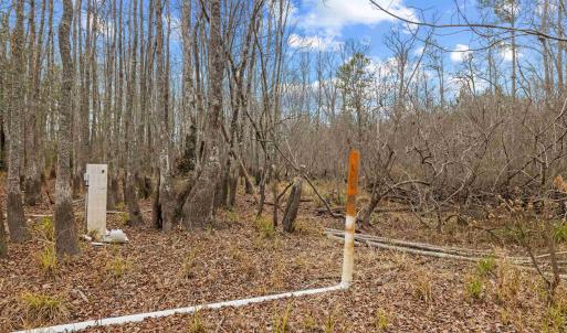 Photo #12 of TBD 183 Acres Blakely Rd., Salters, SC 183.0 acres