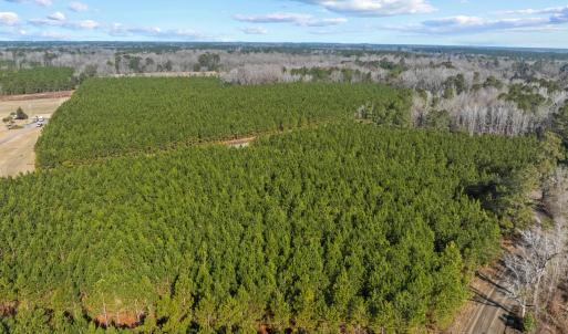 Photo #30 of TBD 183 Acres Blakely Rd., Salters, SC 183.0 acres