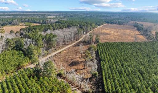 Photo #31 of TBD 183 Acres Blakely Rd., Salters, SC 183.0 acres