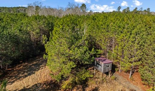 Photo #4 of TBD 183 Acres Blakely Rd., Salters, SC 183.0 acres