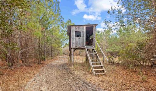 Photo #1 of TBD 183 Acres Blakely Rd., Salters, SC 183.0 acres