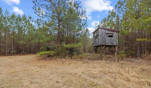 Photo #2 of TBD 183 Acres Blakely Rd., Salters, SC 183.0 acres