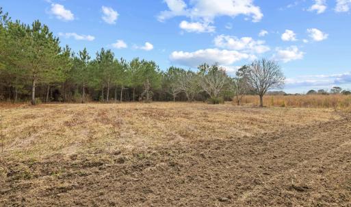 Photo #11 of TBD 183 Acres Blakely Rd., Salters, SC 183.0 acres