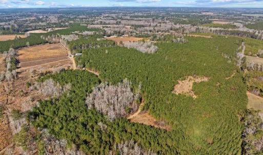 Photo #33 of TBD 183 Acres Blakely Rd., Salters, SC 183.0 acres