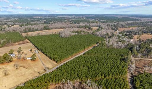 Photo #29 of TBD 183 Acres Blakely Rd., Salters, SC 183.0 acres