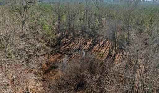 Photo #14 of TBD 183 Acres Blakely Rd., Salters, SC 183.0 acres
