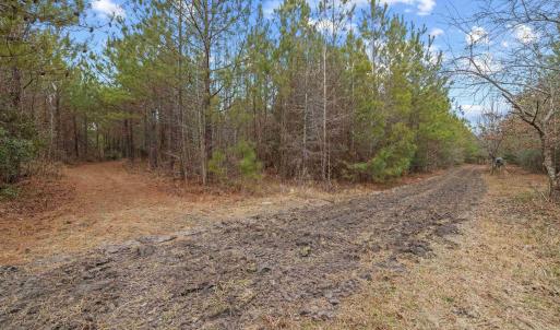 Photo #9 of TBD 183 Acres Blakely Rd., Salters, SC 183.0 acres