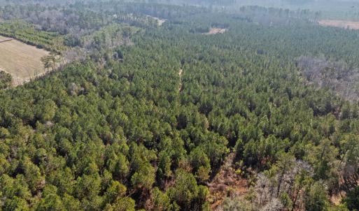 Photo #37 of TBD 183 Acres Blakely Rd., Salters, SC 183.0 acres