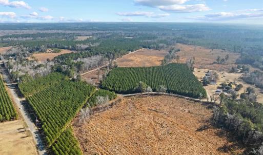 Photo #27 of TBD 183 Acres Blakely Rd., Salters, SC 183.0 acres