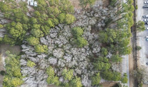 Photo #7 of 2352 Old Sanders Dr., Little River, SC 1.0 acres