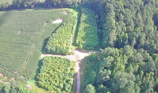 Photo #3 of TBD Plantation Dr., Marion, SC 8.9 acres