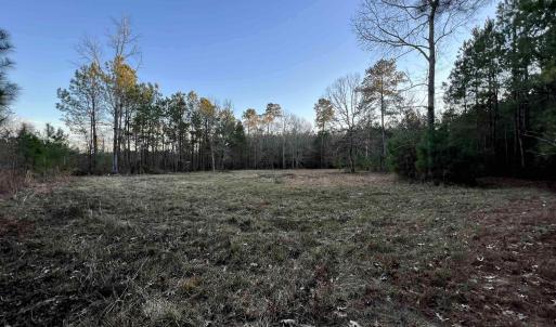 Photo #4 of 9207 County Line Rd., Nesmith, SC 3.7 acres