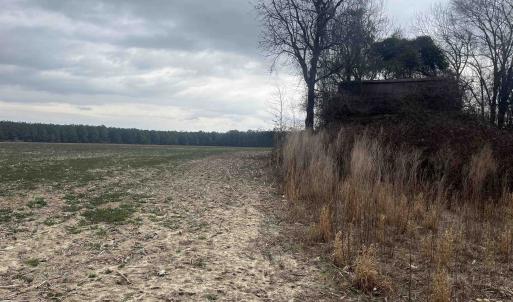 Photo #8 of Centerville Rd., Latta, SC 267.3 acres