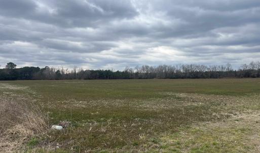 Photo #4 of Centerville Rd., Latta, SC 267.3 acres