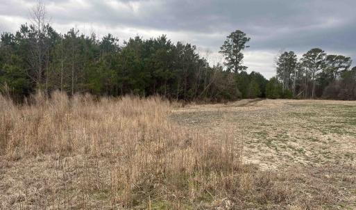 Photo #7 of Centerville Rd., Latta, SC 267.3 acres