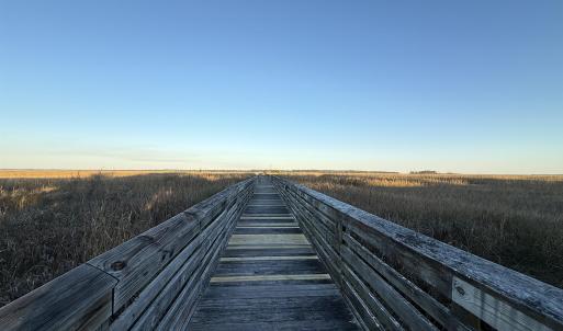 Photo #7 of Lot 68 and 69 Milton Circle, Georgetown, SC 0.6 acres