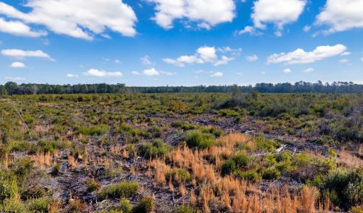 Photo #14 of TBD Fifteen Mile Bay Rd., Nichols, SC 100.0 acres