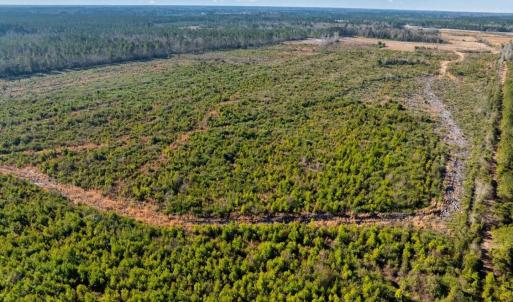 Photo #12 of 100 Acres Fifteen Mile Bay Rd., Nichols, SC 100.0 acres