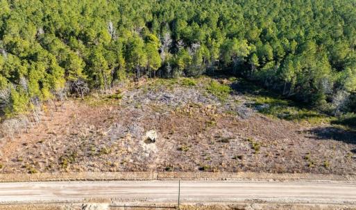 Photo #20 of 100 Acres Fifteen Mile Bay Rd., Nichols, SC 100.0 acres