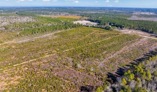 Photo #8 of 100 Acres Fifteen Mile Bay Rd., Nichols, SC 100.0 acres