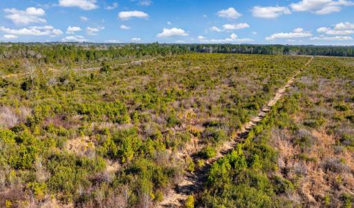 Photo #7 of 100 Acres Fifteen Mile Bay Rd., Nichols, SC 100.0 acres