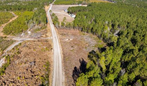 Photo #21 of 100 Acres Fifteen Mile Bay Rd., Nichols, SC 100.0 acres