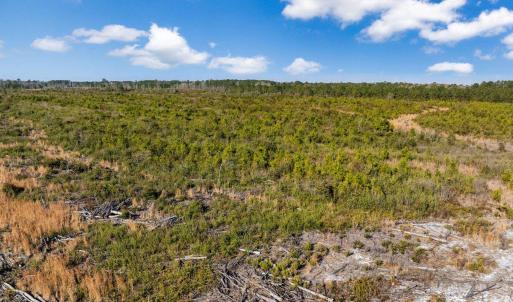 Photo #17 of 100 Acres Fifteen Mile Bay Rd., Nichols, SC 100.0 acres