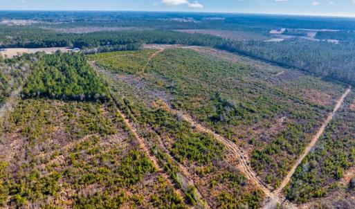 Photo #5 of 100 Acres Fifteen Mile Bay Rd., Nichols, SC 100.0 acres
