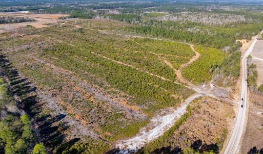 Photo #9 of 100 Acres Fifteen Mile Bay Rd., Nichols, SC 100.0 acres