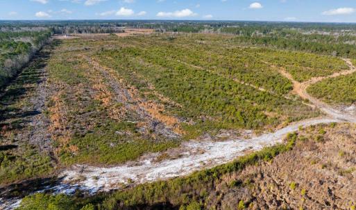 Photo #10 of 100 Acres Fifteen Mile Bay Rd., Nichols, SC 100.0 acres