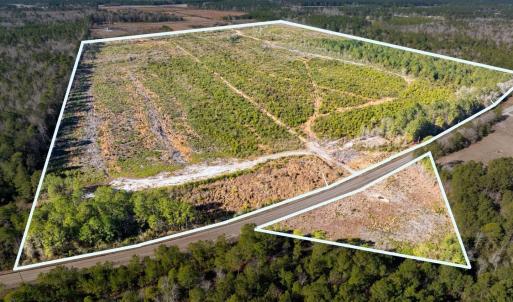 Photo #2 of 100 Acres Fifteen Mile Bay Rd., Nichols, SC 100.0 acres