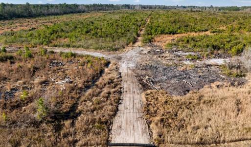 Photo #11 of 100 Acres Fifteen Mile Bay Rd., Nichols, SC 100.0 acres