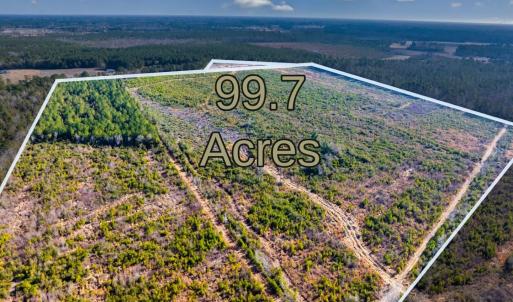 Photo #1 of 100 Acres Fifteen Mile Bay Rd., Nichols, SC 100.0 acres