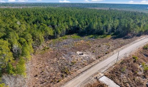 Photo #19 of 100 Acres Fifteen Mile Bay Rd., Nichols, SC 100.0 acres
