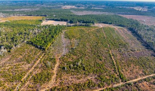 Photo #4 of 100 Acres Fifteen Mile Bay Rd., Nichols, SC 100.0 acres