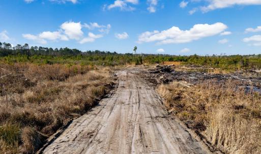 Photo #18 of 100 Acres Fifteen Mile Bay Rd., Nichols, SC 100.0 acres