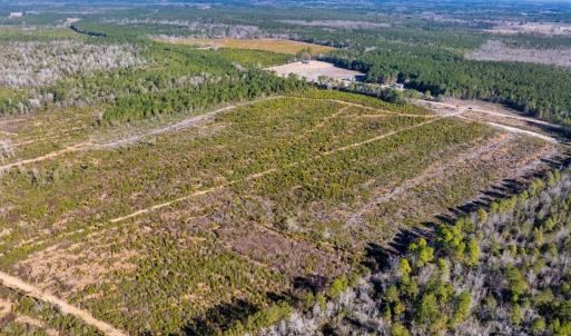 Photo #3 of 100 Acres Fifteen Mile Bay Rd., Nichols, SC 100.0 acres