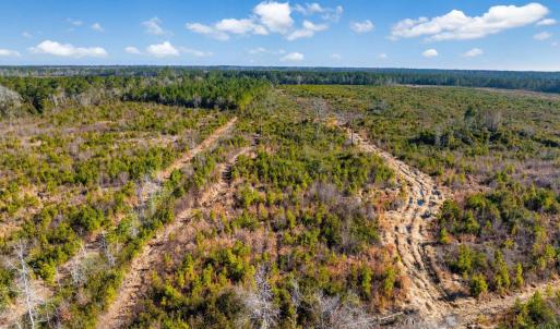 Photo #6 of 100 Acres Fifteen Mile Bay Rd., Nichols, SC 100.0 acres
