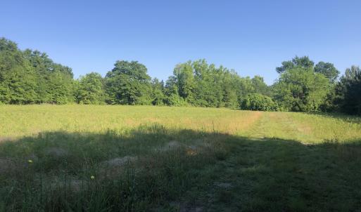 Photo #8 of TBD Vantage Ln, Moncks Corner, SC 79.0 acres